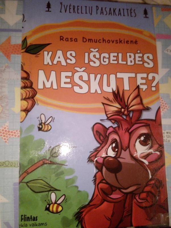 Kas išgelbės meškutę - Rasa Dmuchovskienė, knyga 3