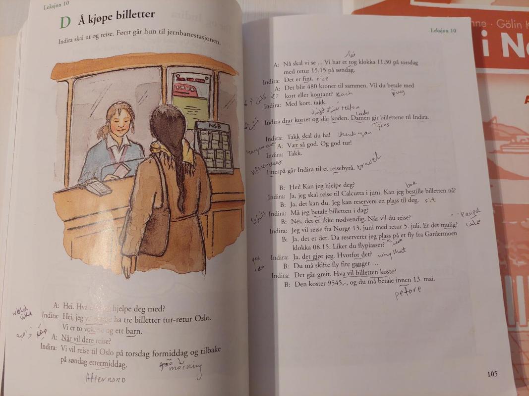 Ny i Norge - Gerd Manne, knyga 5