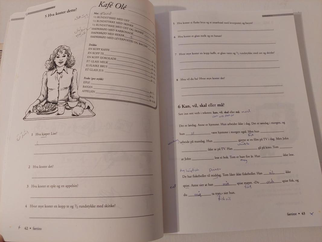 Ny i Norge - Gerd Manne, knyga 4