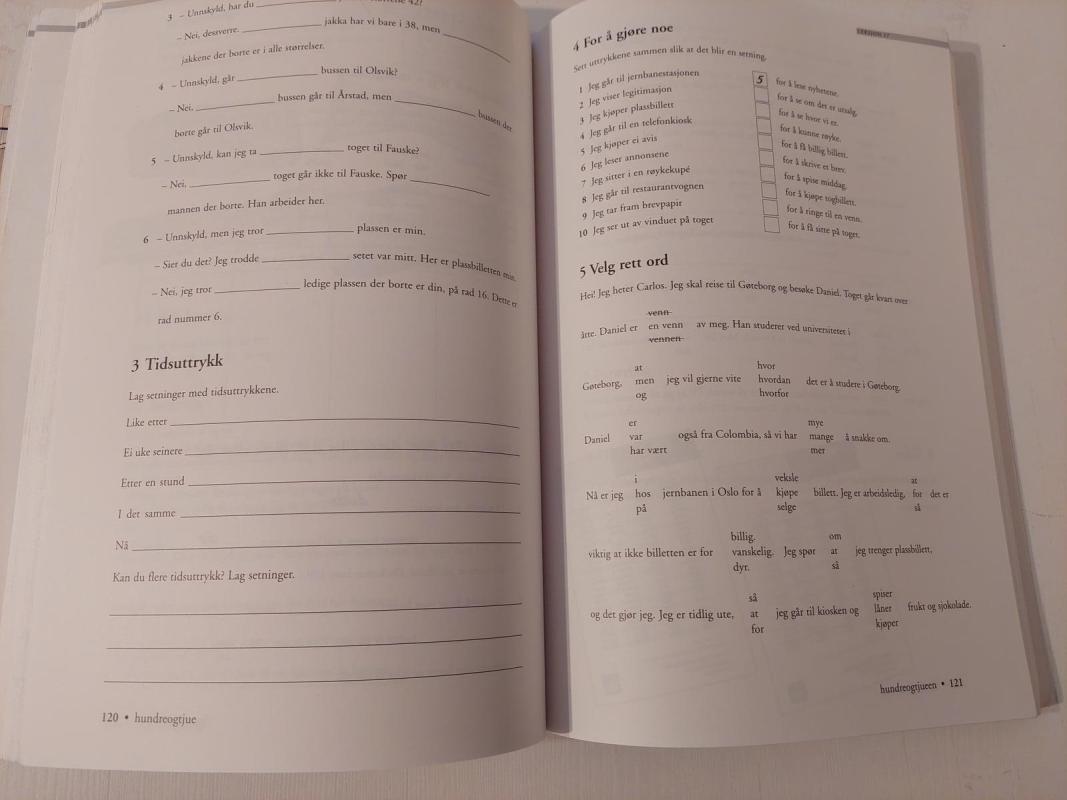 Ny i Norge - Gerd Manne, knyga 3