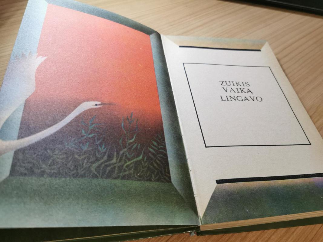 Su saule lijo - Pranė Jokimaitienė, knyga 3