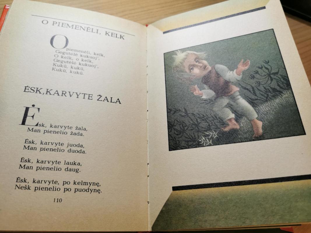 Su saule lijo - Pranė Jokimaitienė, knyga 4