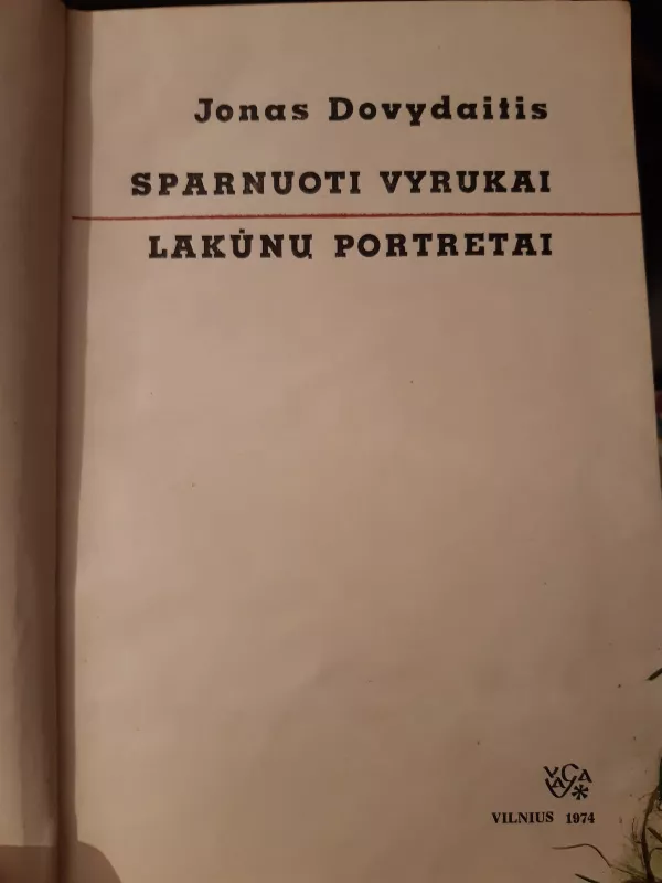 Sparnuoti vyrukai - Jonas Dovydaitis, knyga