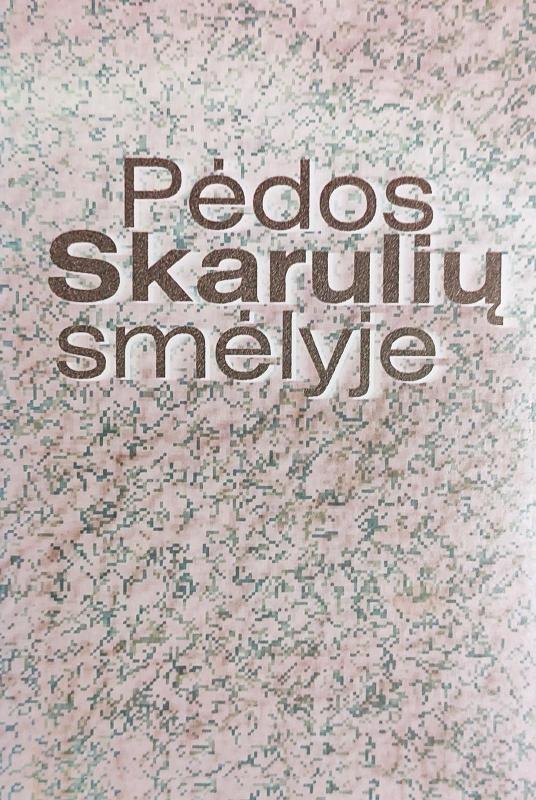 Pėdos Skarulių smėlyje - Domicelė Kitrienė, knyga 3