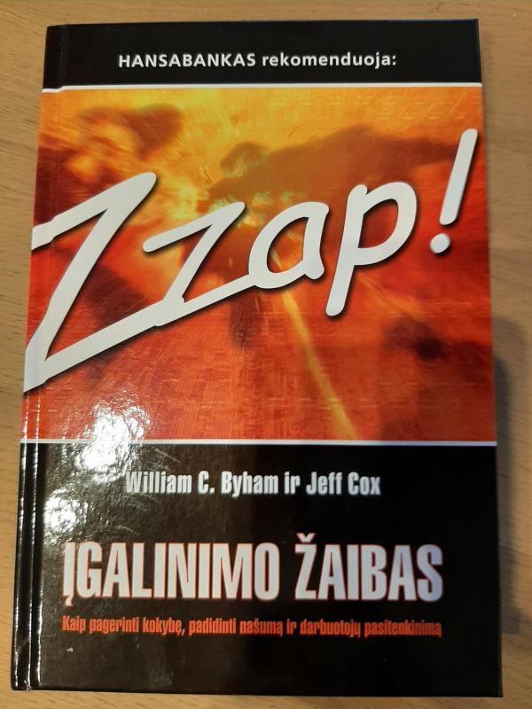 Zzap! Įgalinimo žaibas - Eliyahu M. Goldratt, Jeff  Cox, knyga