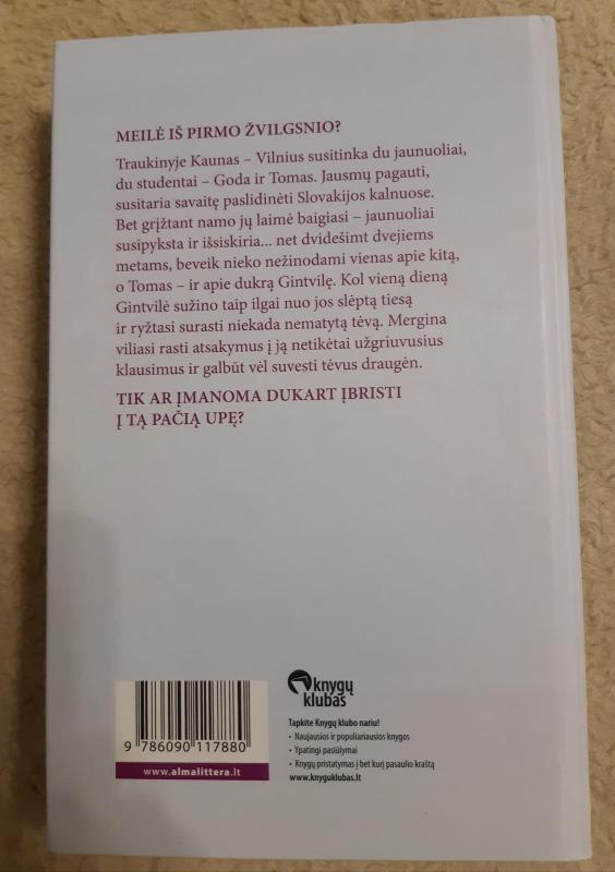 Nebaigta kalnų sakmė - Irena Buivydaitė, knyga 3