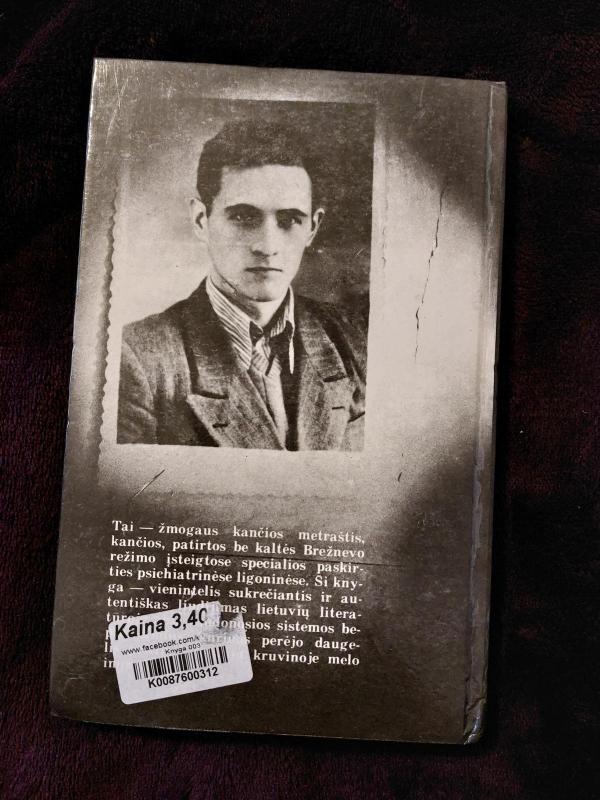 Bepročių pasaulyje - Henrikas Klimašauskas, knyga 2