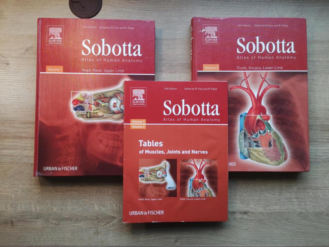 Sobottos žmogaus anatomijos atlasų komplektas (Lot./En.) - Johannes Sobotta, knyga 3
