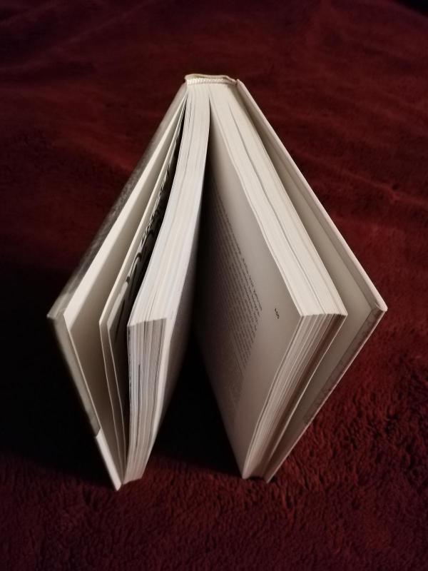 Boružė, ropojanti plentu - Viktorija Daujotytė, knyga 3