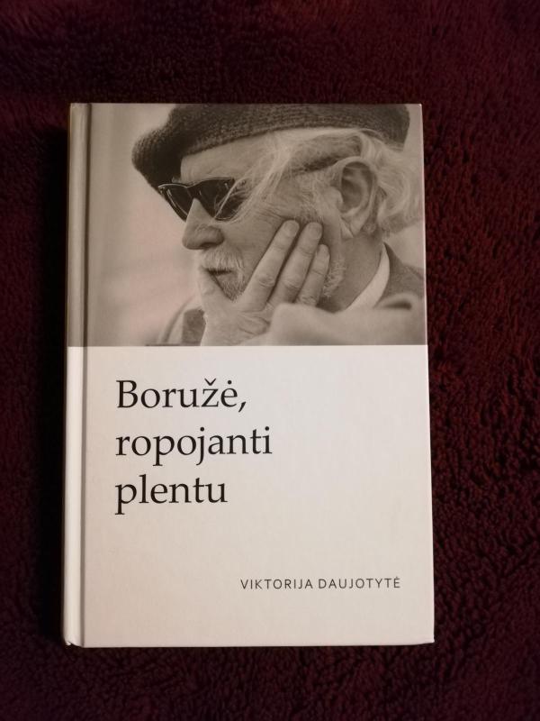Boružė, ropojanti plentu - Viktorija Daujotytė, knyga 4