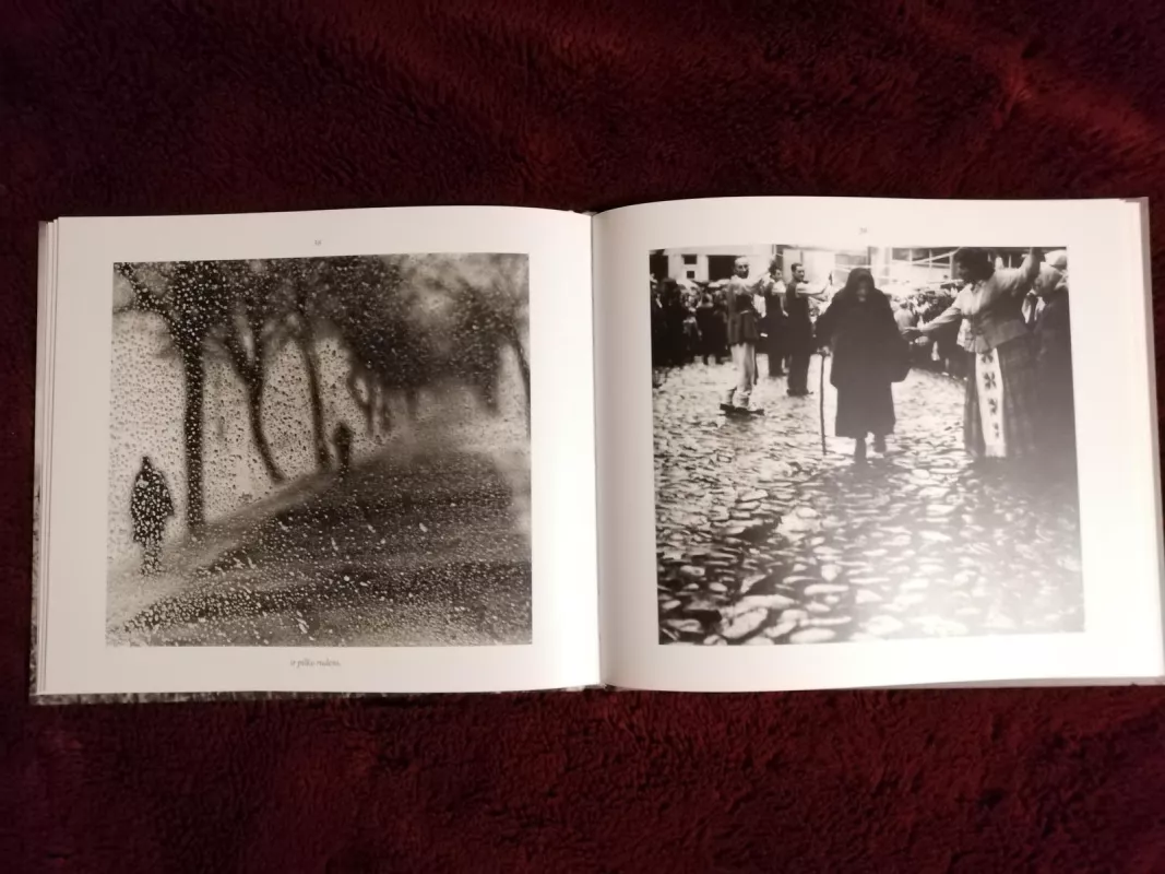 Tėviškė Fotokompozicija pagal Antano Venclovos eilėraštį - Bernardas Aleknavičius, knyga 3