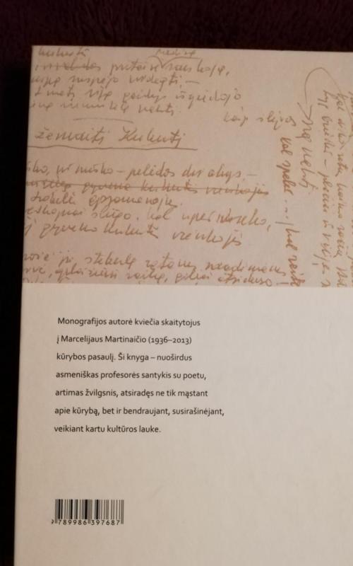 Boružė, ropojanti plentu - Viktorija Daujotytė, knyga 2