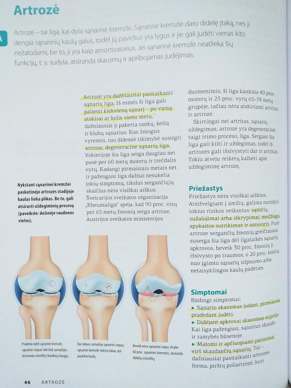 Sveikatos žinynas. Labiausiai paplitusios ligos nuo A iki Ž - Monika Rossiger, knyga 3