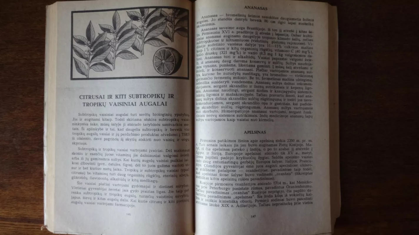 Maistinių augalų gydomosios savybės - L. Skliarevskis, knyga 2