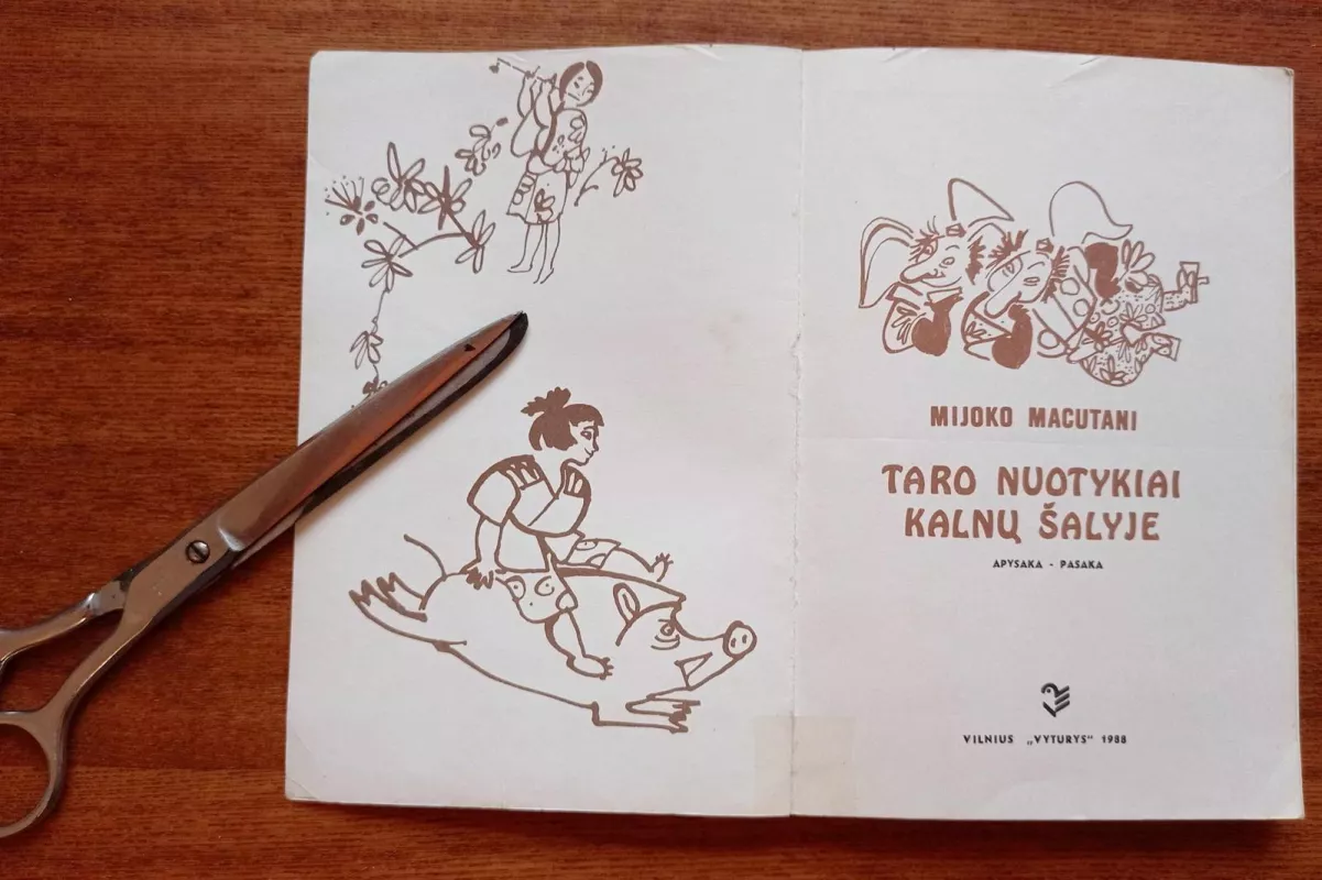 Taro nuotykiai kalnų šalyje - Mijoko Macutani, knyga 4
