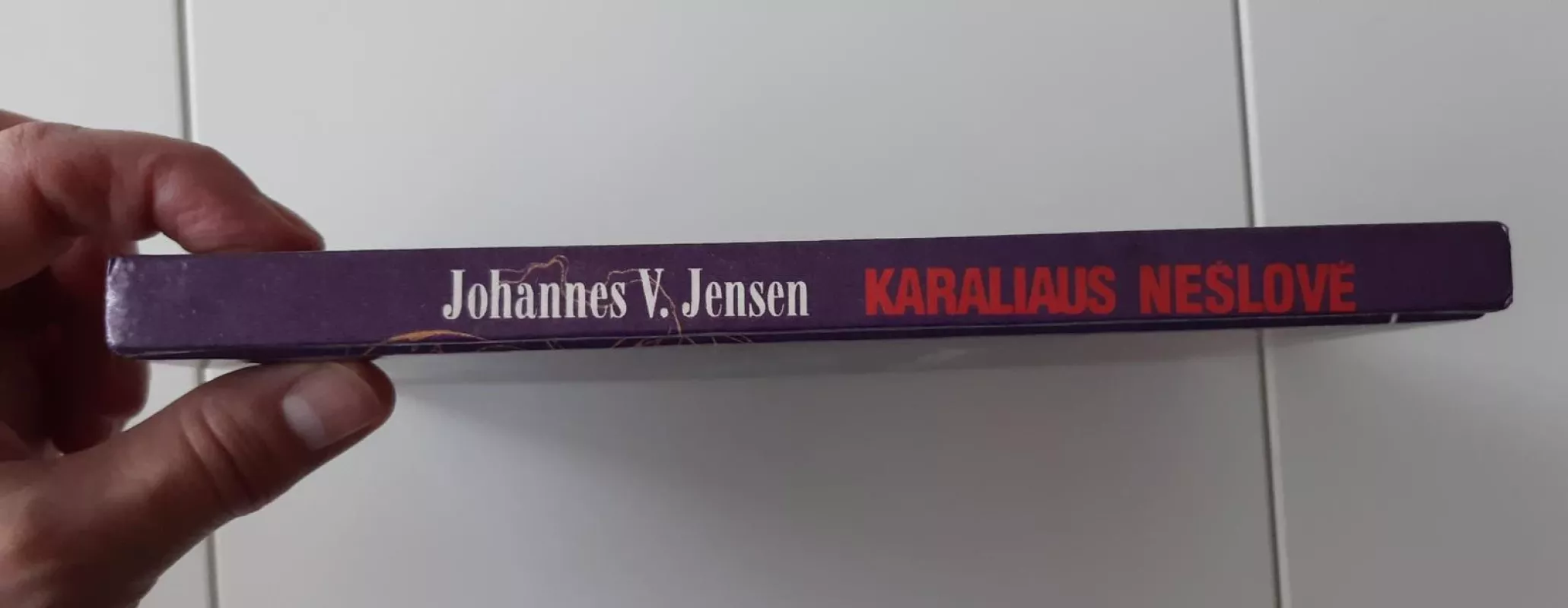 Karaliaus nešlovė - Johannes V. Jensen, knyga 4