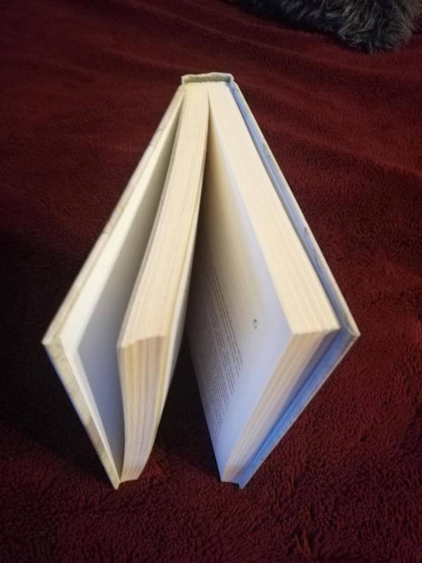 Oleandrų sodas - Rosa Ventrella, knyga 4