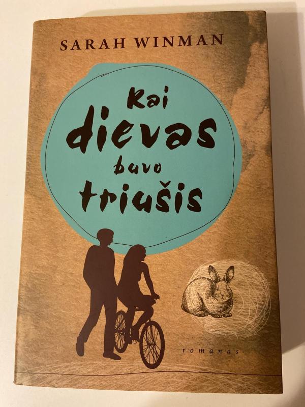 Kai dievas buvo triušis - Sarah Winman, knyga 2