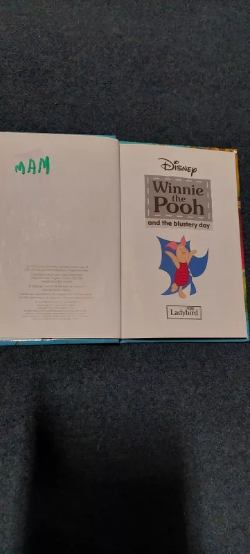 Winnie the Pooh and the blustery day - Walt Disney, knyga 2