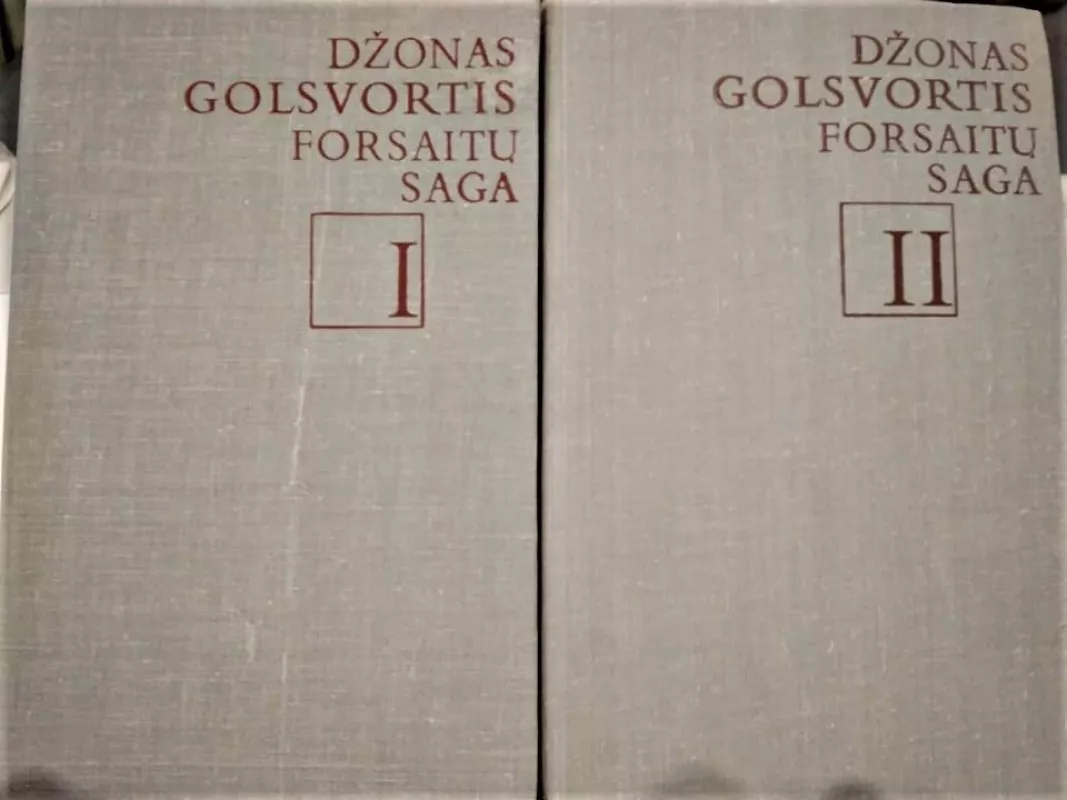 Forsaitų saga (2 tomai) - Džonas Golsvortis, knyga 2