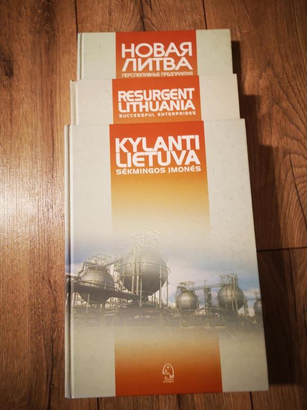 Kylanti Lietuva.Sėkmingos įmonės - Steponas Maculevičius, knyga 3