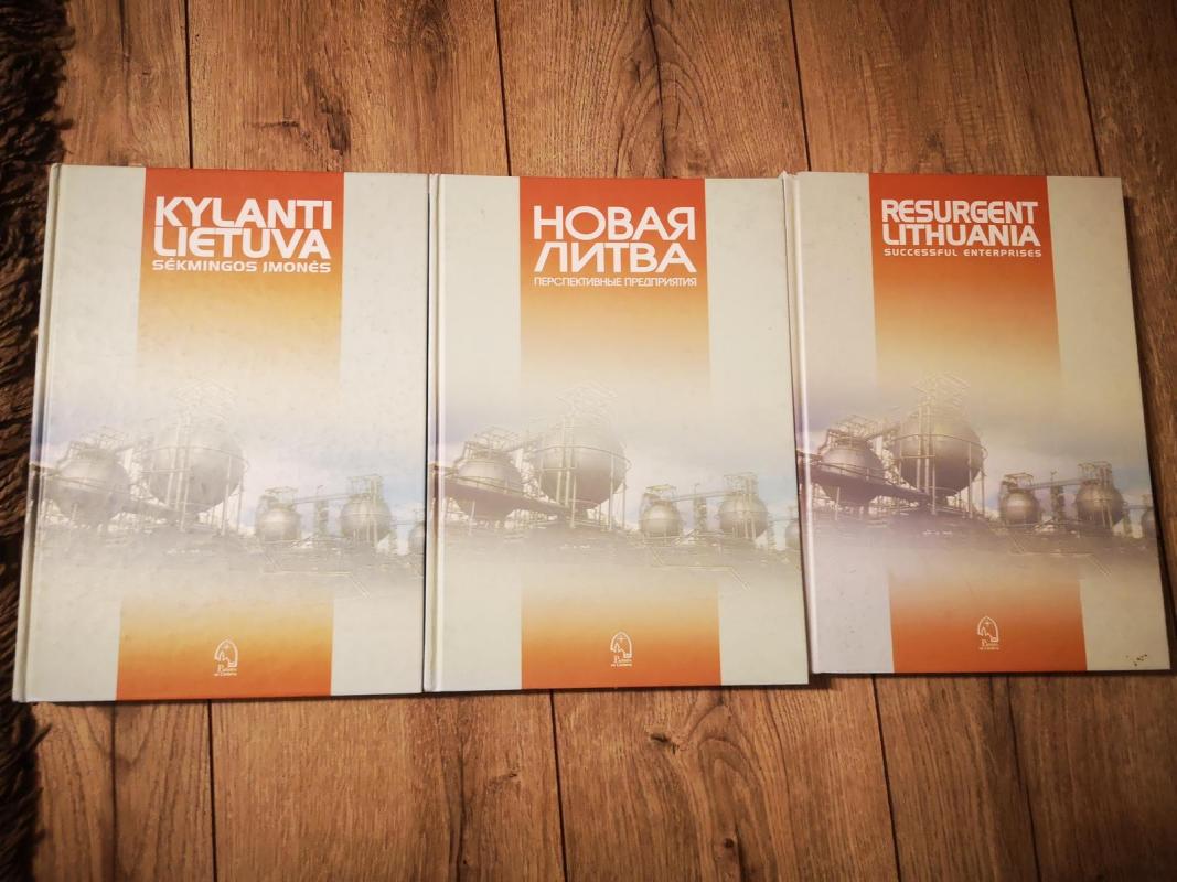 Kylanti Lietuva.Sėkmingos įmonės - Steponas Maculevičius, knyga 2