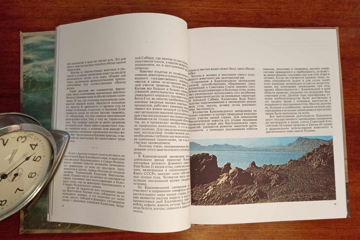 Там, где зимуют фламинго - В. Васильев, knyga 4