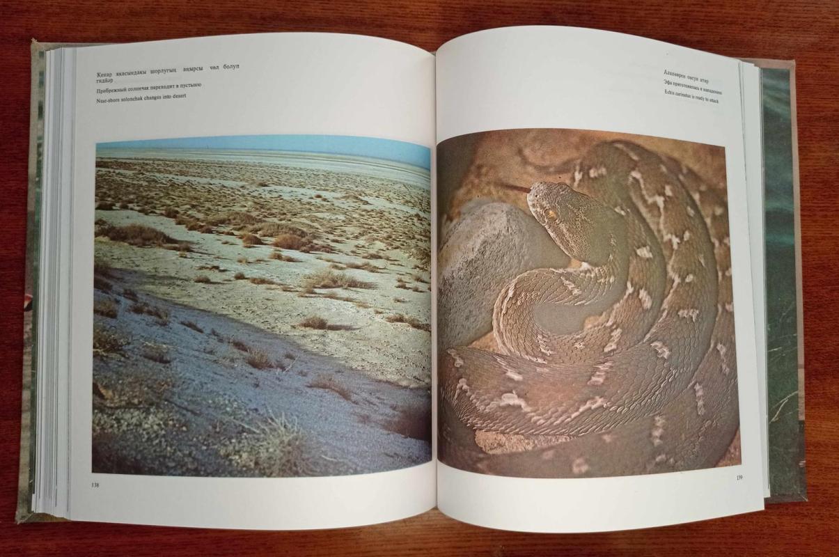 Там, где зимуют фламинго - В. Васильев, knyga 3