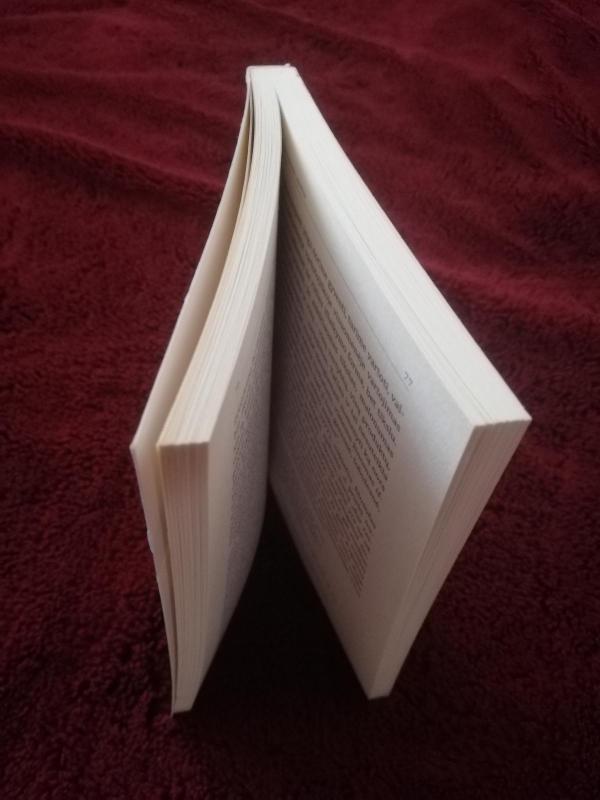 Radau perlą - Zdislaw Jozef Kijas, knyga 3