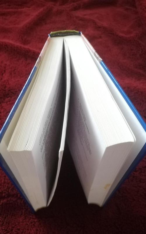 Makroekonomika - ir kt. Snieška V., knyga 3