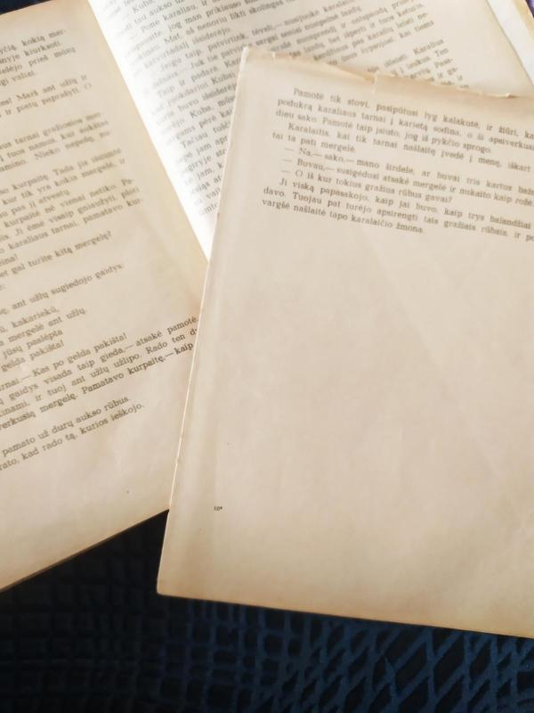 Slovakų pasakos - Autorių Kolektyvas, knyga 3