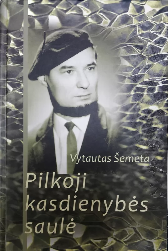 Pilkoji kasdienybės saulė - Vytautas Šemeta, knyga