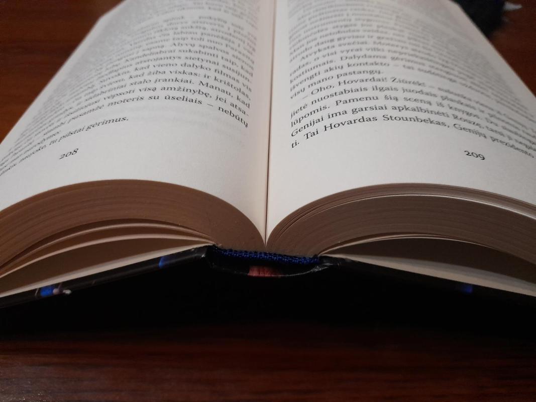 Fandom - Anna Day, knyga 3