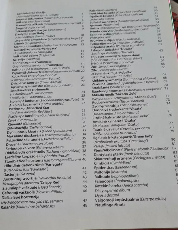 100 kambarinių augalų: kambarinių augalų priežiūros vadovas - Birutė Babravičienė, Dalia  Daugirdienė, ir kt. , knyga