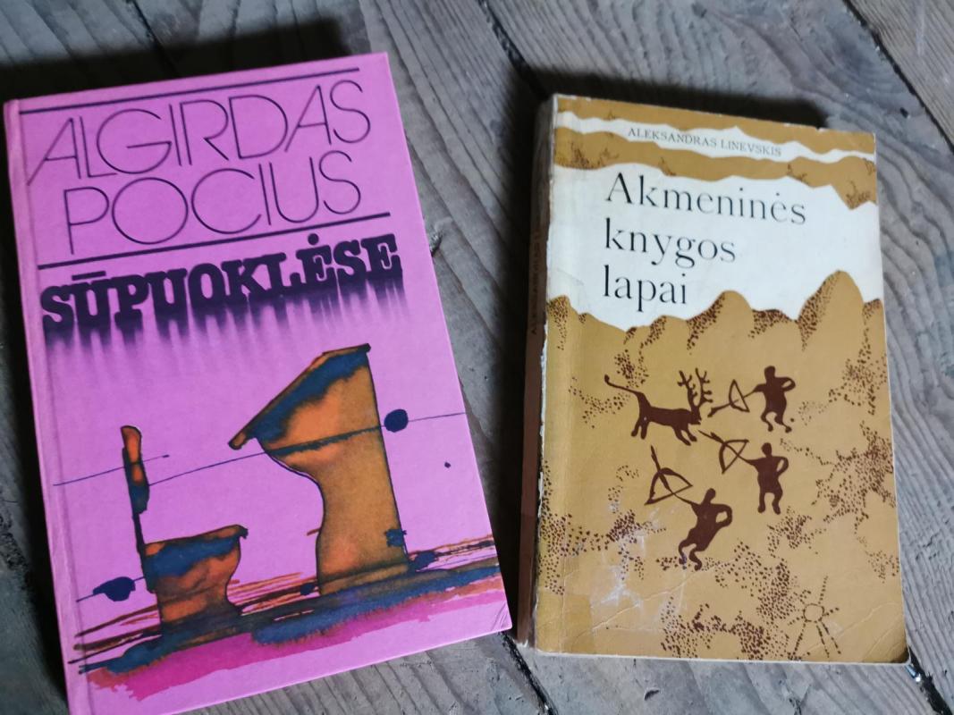 Sūpuoklėse - Algirdas Pocius, knyga 3