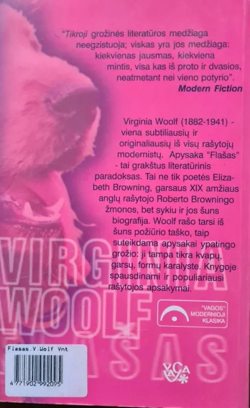 Flašas - Virginia Woolf, knyga