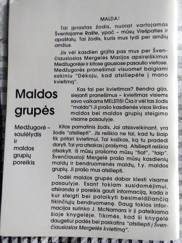 Maldos grupės - Joseph E. McNamara, knyga 3