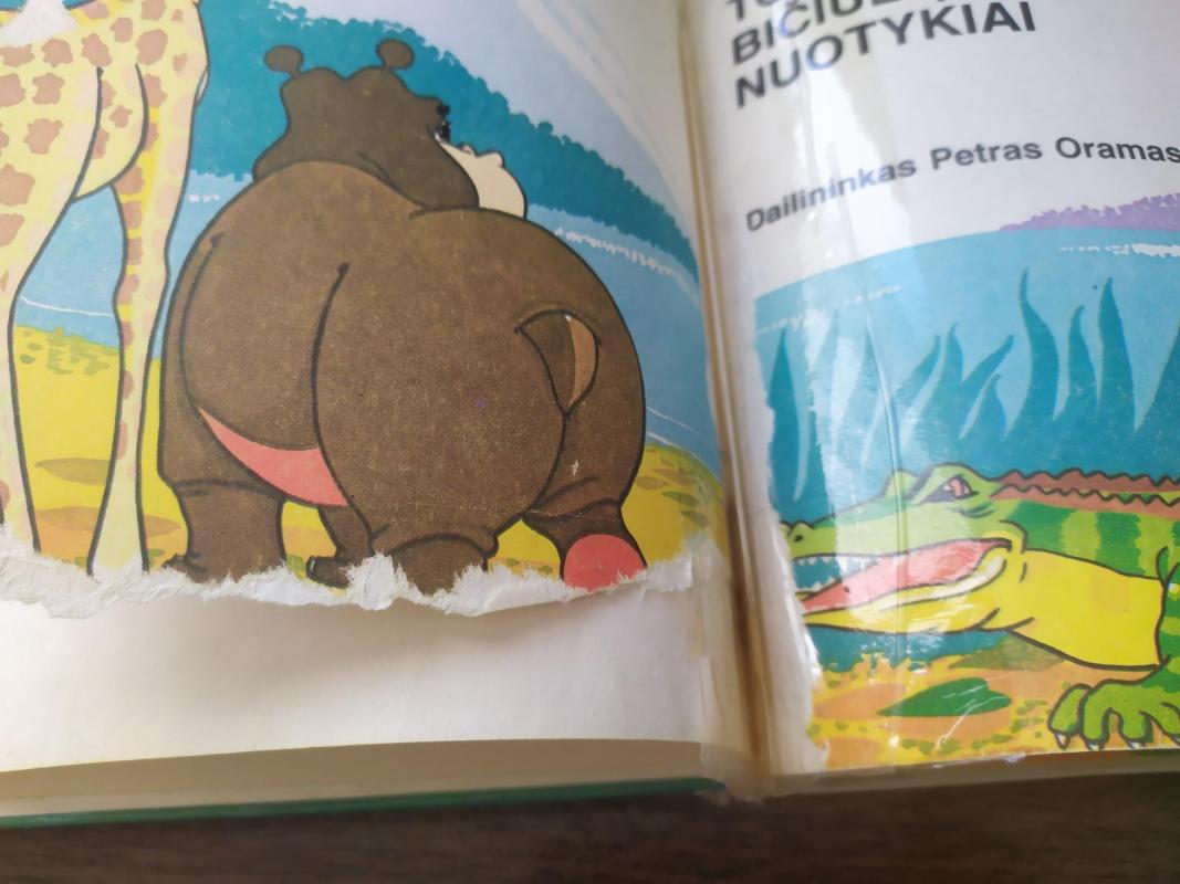 Toto ir jos bičiulių nuotykiai - Paulius Vaitas, knyga 4