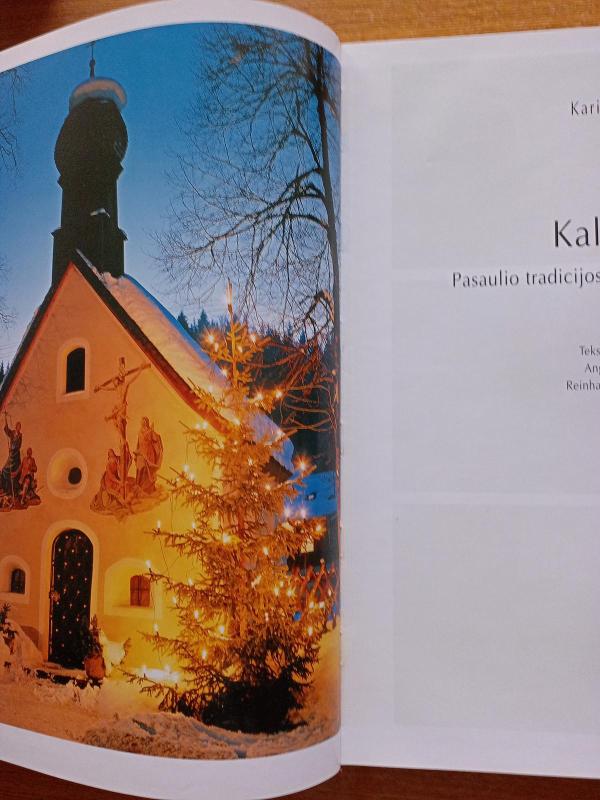 Kalėdos. Pasaulio tradicijos ir šventiniai receptai - Karin Iden, knyga 3