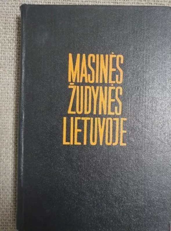 Masinės žudynės Lietuvoje (1941-1944) (1 dalis) - G. Erslavaitė, knyga 3