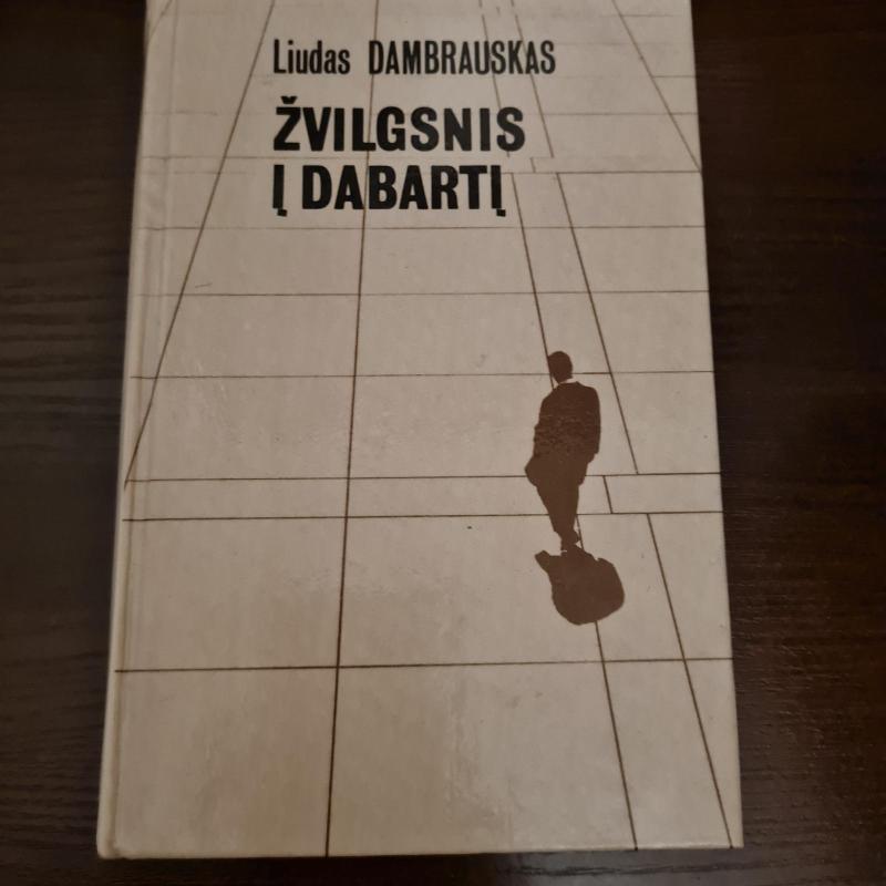 Žvilgsnis į dabartį - Liudas Dambrauskas, knyga 3