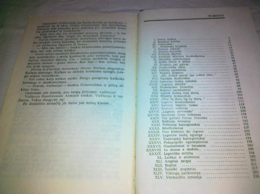 Dievų miškas - Balys Sruoga, knyga 2