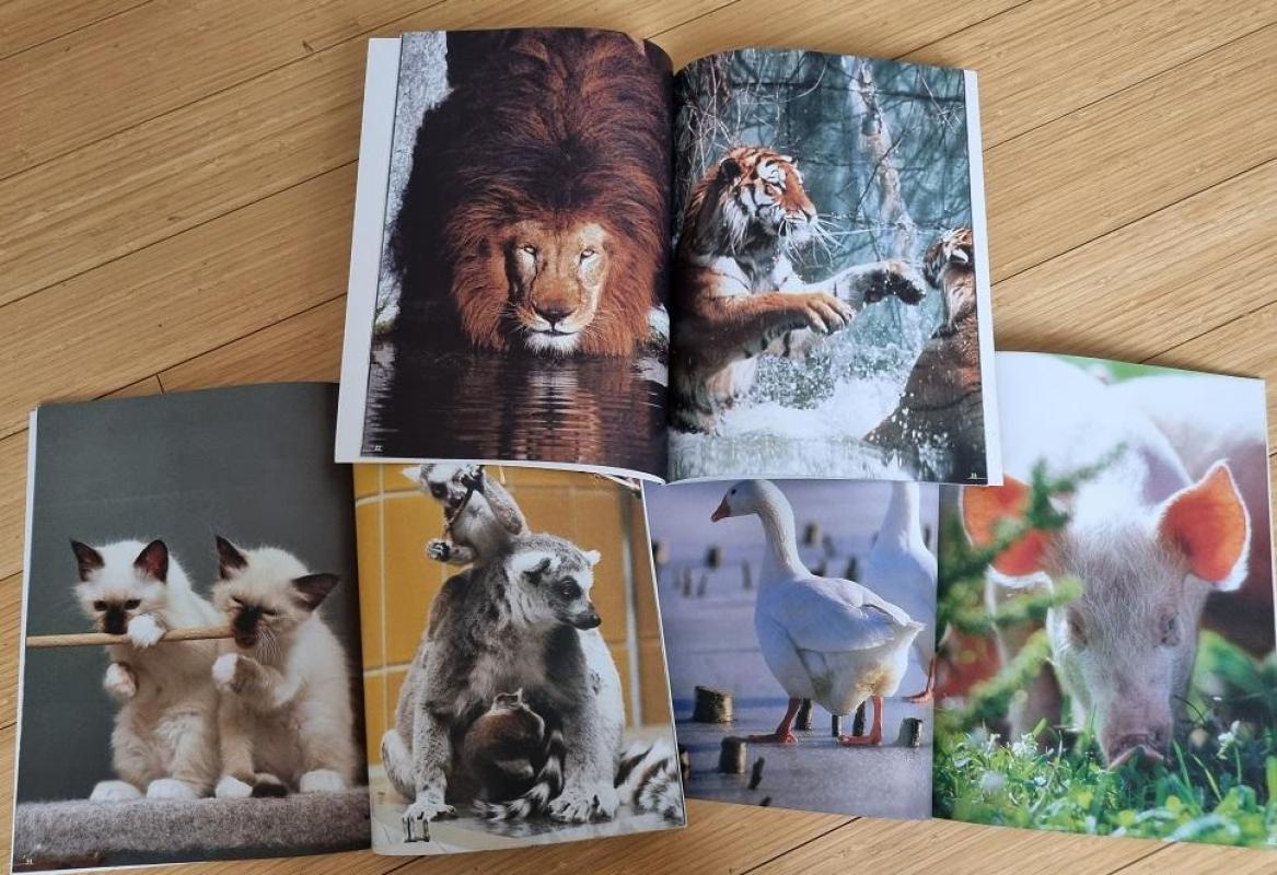 Mažyliai + Žvėrys zoologijos sode + Naminiai gyvūnai - Autorių Kolektyvas, knyga 5