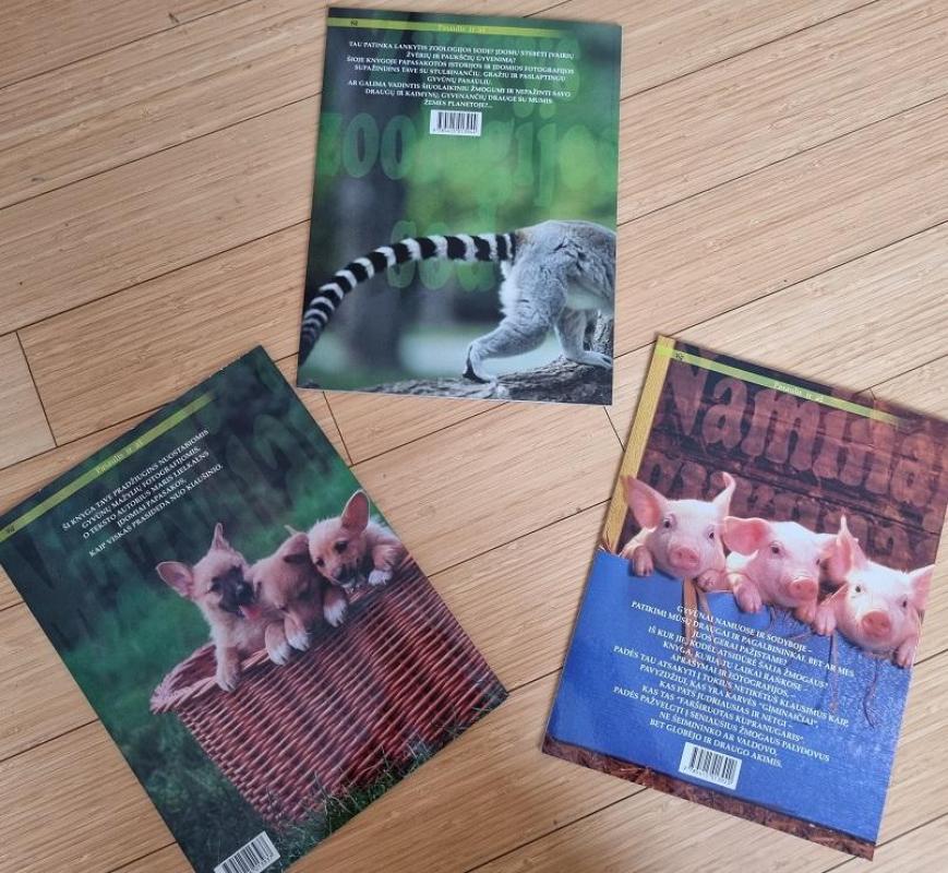 Mažyliai + Žvėrys zoologijos sode + Naminiai gyvūnai - Autorių Kolektyvas, knyga 4