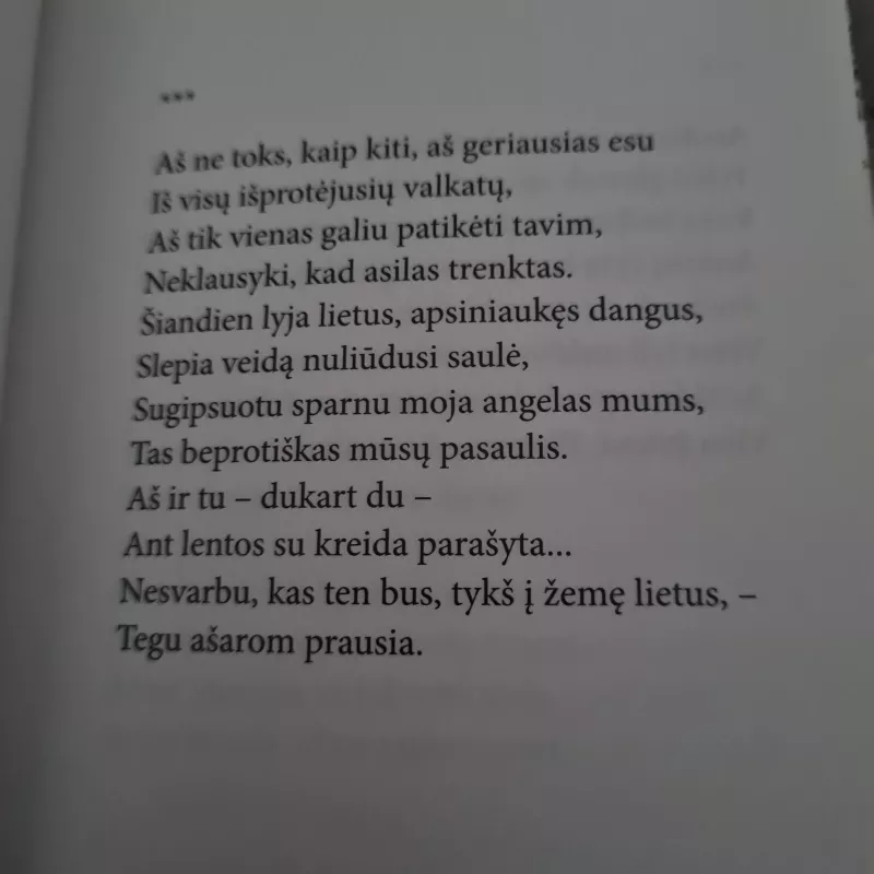 Aš sugrįšiu - Gintautas Labanauskas, knyga