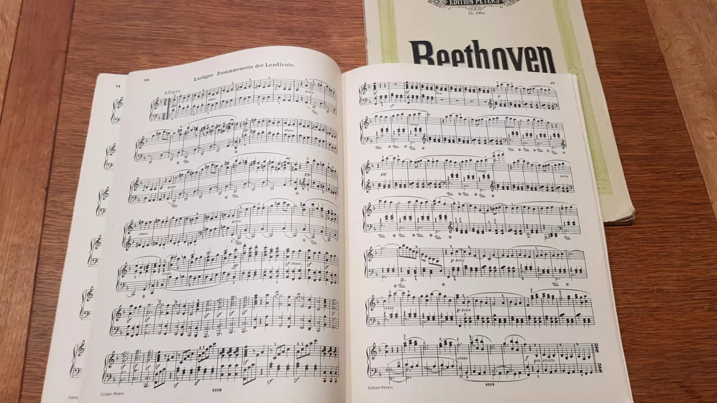 Bethovenas. Simfonijos 1-5 ir 6-9. Klavyrai. (Beethoven. Symphonien I-V, VI-IX. Klavier zu 2 Handen)) - Ludwig Beethoven van, knyga 3