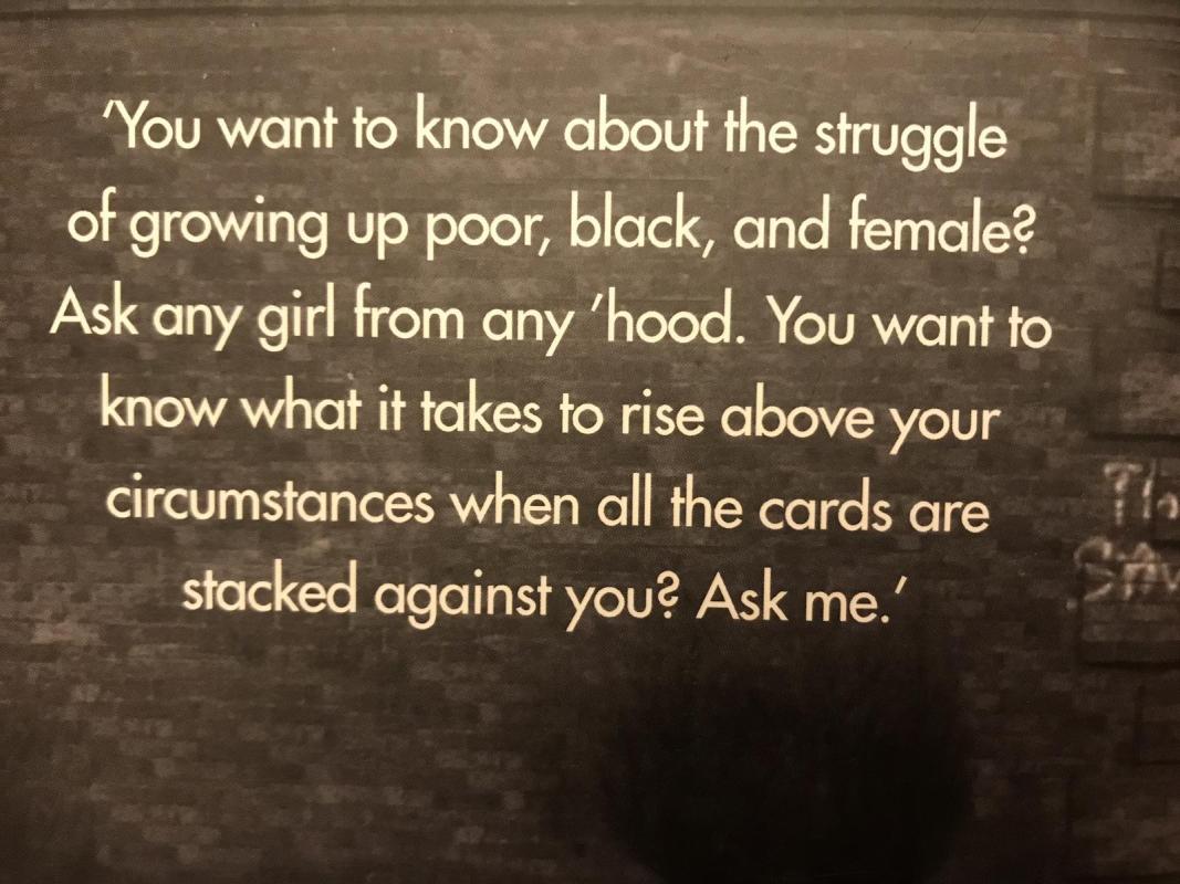 Rabbit - Patricia Williams, knyga