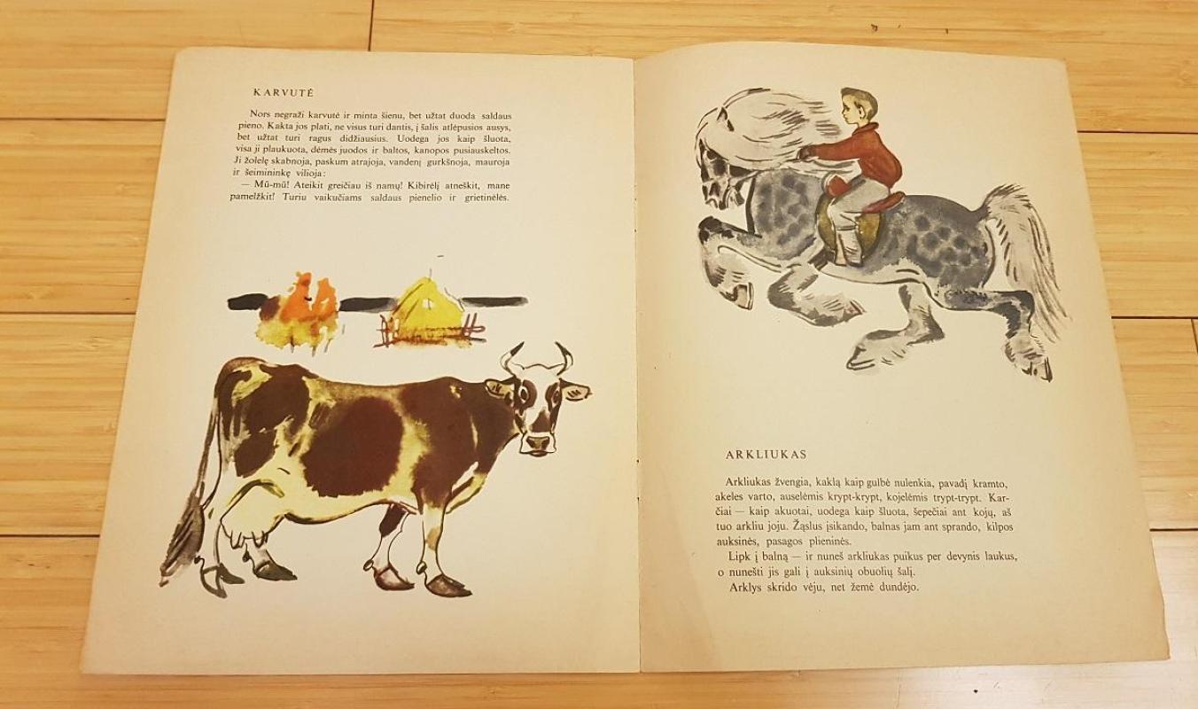 Sargiukas - Konstantinas Ušinskis, knyga 4