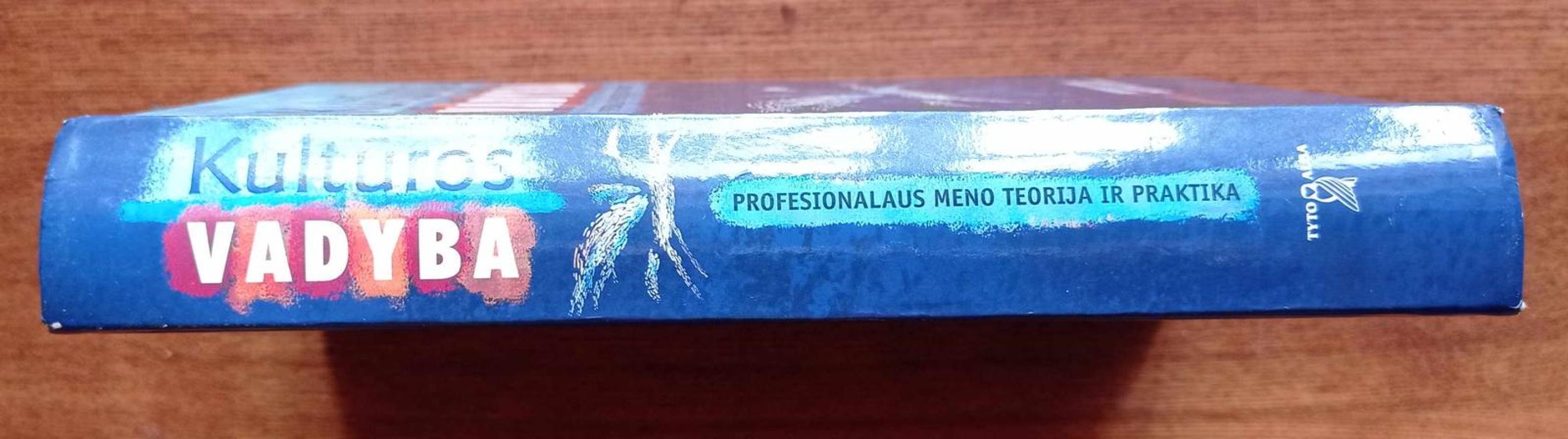 Kultūros vadyba: profesionalaus meno teorija ir praktika - Hermann Rauhe, knyga 5