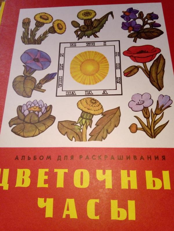 цветочные часы - Autorių Kolektyvas, knyga 4